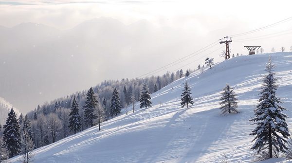 Louer ses skis à la montagne : conseils pour profiter pleinement de la neige